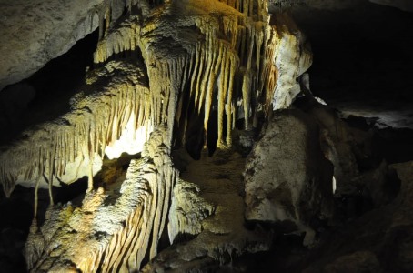 Naracoorte Caves to allow locals free entry cover image